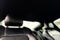 2023 Ford Mustang EcoBoost Premium Fastback