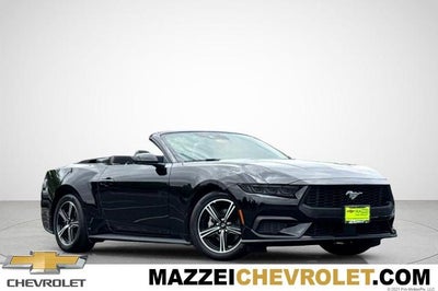 2025 Ford Mustang EcoBoost Convertible