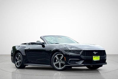 2025 Ford Mustang EcoBoost Convertible