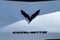 2017 Chevrolet Corvette Grand Sport Grand Sport 1LT